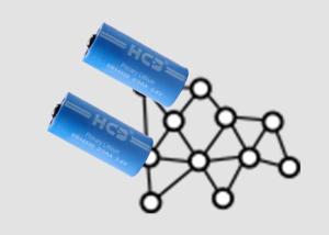 Quality ER14335 2/3AA 1650mAh Lithium Thionyl Chloride Battery for Life jacket Signal light non rechargable wholesale