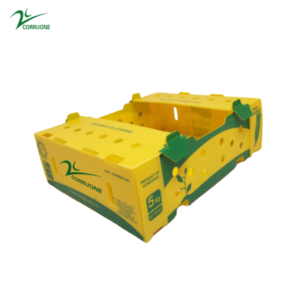 PP Corrugated plastic box vegetable fruit box