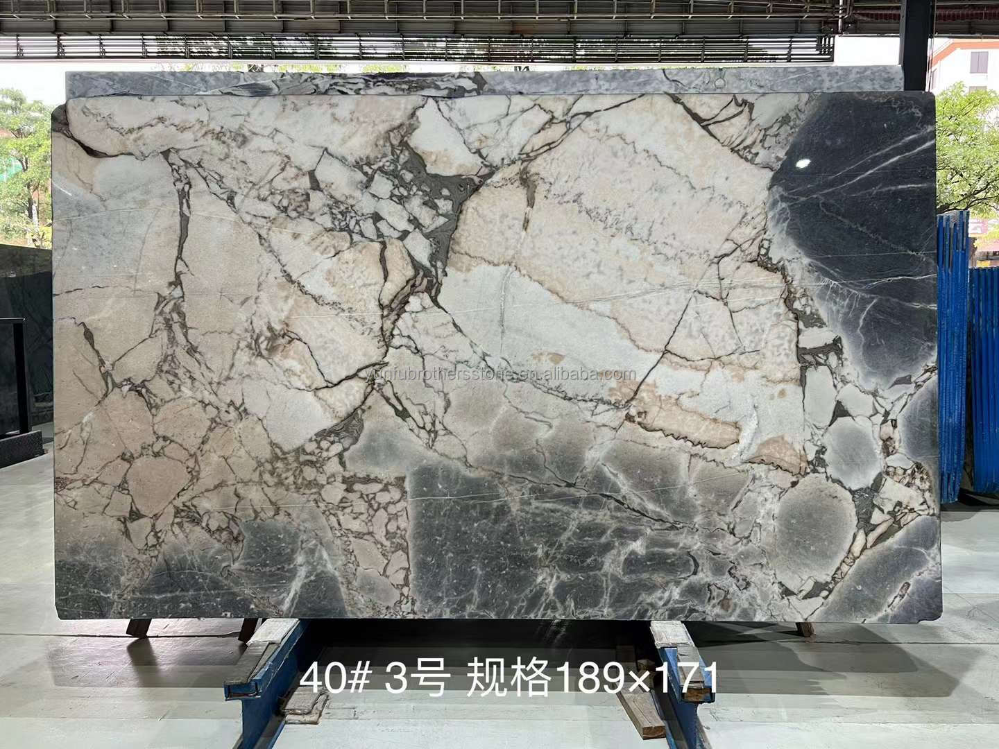 Hot Ocean White/Black Marble Wall and Flooring Tile Design Book Match Marble Elephant White Slab