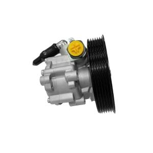 Quality Renualt Alternative Hydraulic Power Steering Pump 8200562164 8200738299 wholesale