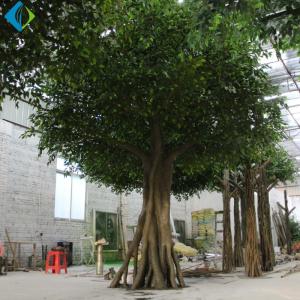 Quality Umbrella Shape Faux Ficus Tree For Indoor Decoration 5-10 Years Life Time wholesale