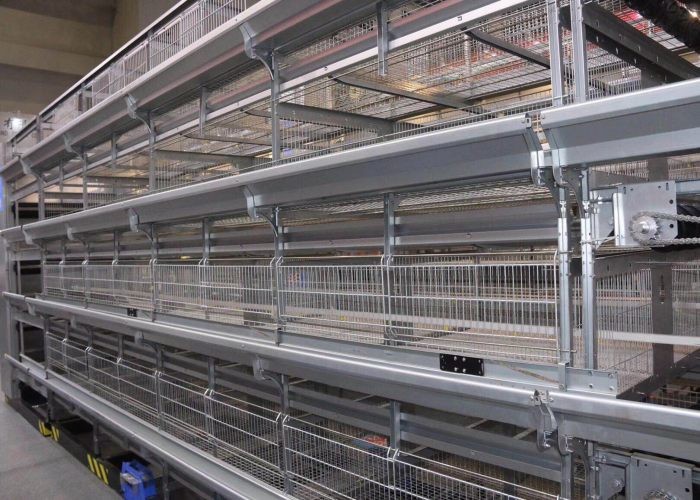 Dry Health Baby Chick Cage Heat - Resistant Poultry Keeping Machinery