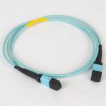 Telecommunication MPO MTP Fiber Optic Connector Molded MT Ferrule