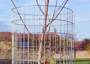 Quality Spot Welding Stainless Steel Welded Wire Mesh For Covers Or Protection wholesale