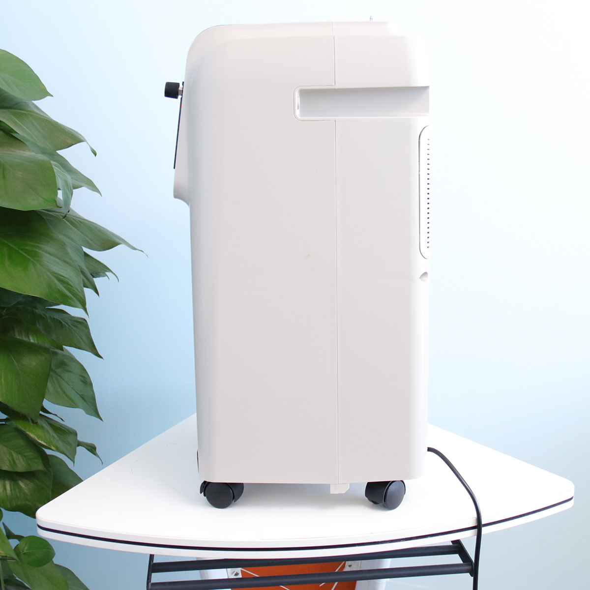 Ce Iso Certification Portable Medical Grade 5L Xnuo Oxygen Concentrator In Stock