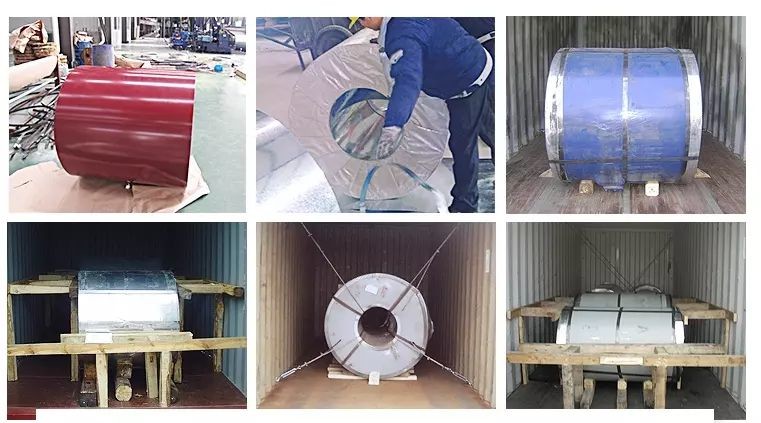 SGC440 SGC490 SGC570 Prepainted Gi Sheet Anti Finger