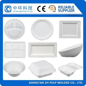 Quality CE Certified Bagasse Pulp Molding Machine 30kw Sugarcane Plate Making wholesale