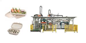 Quality Disposable Pulp Molding Food Tray Machine wholesale