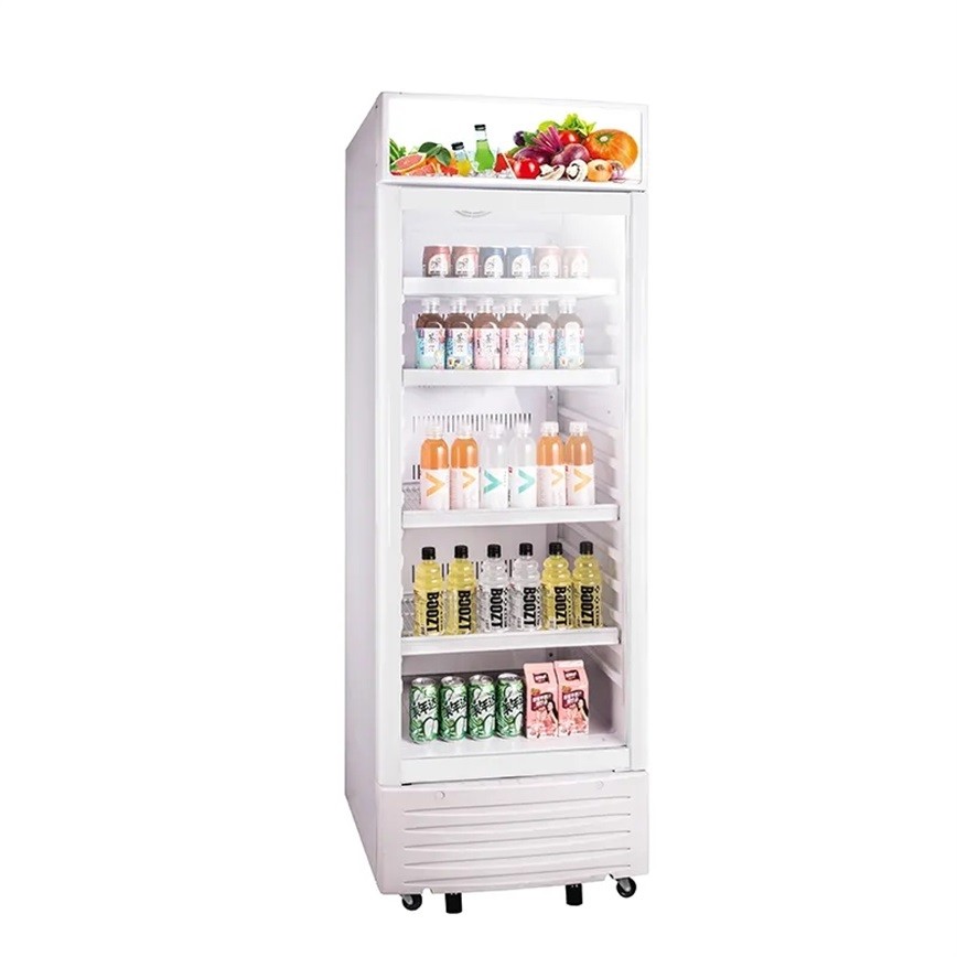 220 - 240V Upright Showcase Cooler With Power Supply 310L Beverage Display Chiller