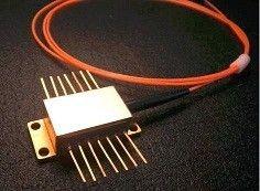 Quality 808nm/810nm 5mw 14-pin butterfly package laser diode module with single mode fiber wholesale