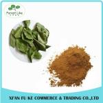 Natural Persimmon Leaf Extract Powder 10:1 20:1