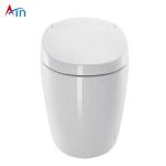 Automatic Operation One Piece Dual Flush Toilet Automatic Heating