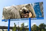 SMD1921 P5 Waterproof Outdoor Led Display Screen For Advertising