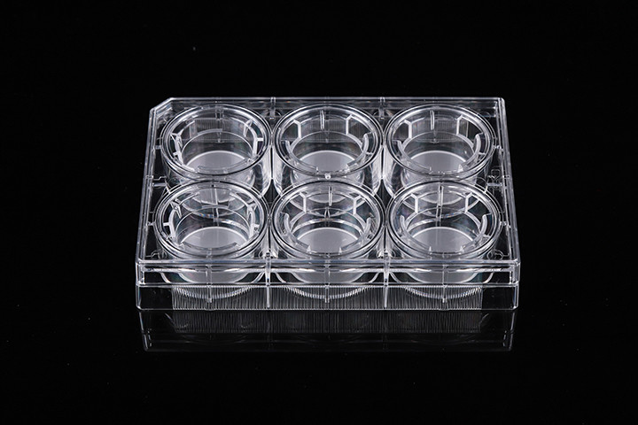 Laboratory Experiment Well Volume 2.6ml Cell Insert