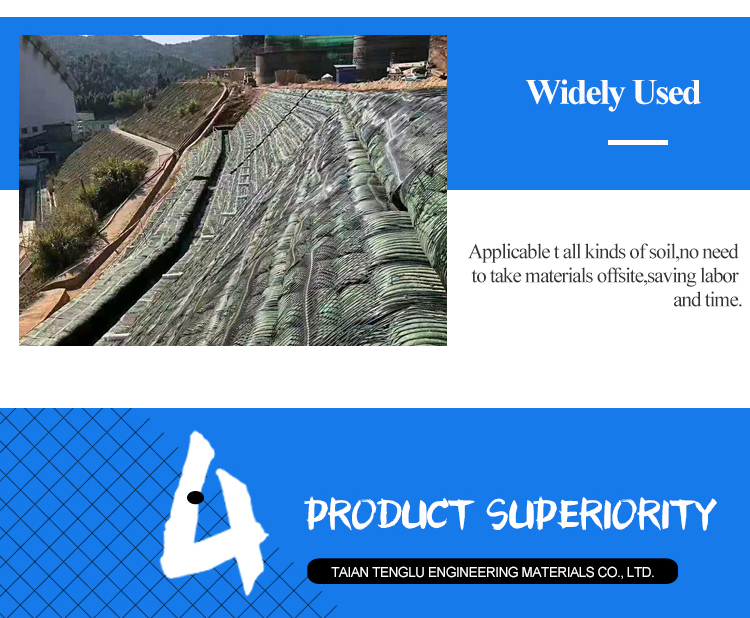 Road Construction Composite Geogrids Uniaxial Plastic Geogrid for Highway Construction