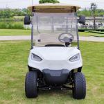48V 150AH Lead Acid Battery Off-Road Tire Golf Cart With Smart Car Charger And