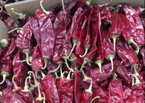 Quality 25lbs Sweet Paprika Pepper 130mm Dried Sweet Chili Low Scoville wholesale