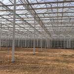 Vegetable Fruits Flowers Glass Agriculture Greenhouse with Inside Outside
