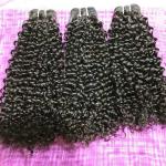 12A Grade Funmi Double Drawn Human Hair Virgin Cuticle Aligned Brazilian Hair