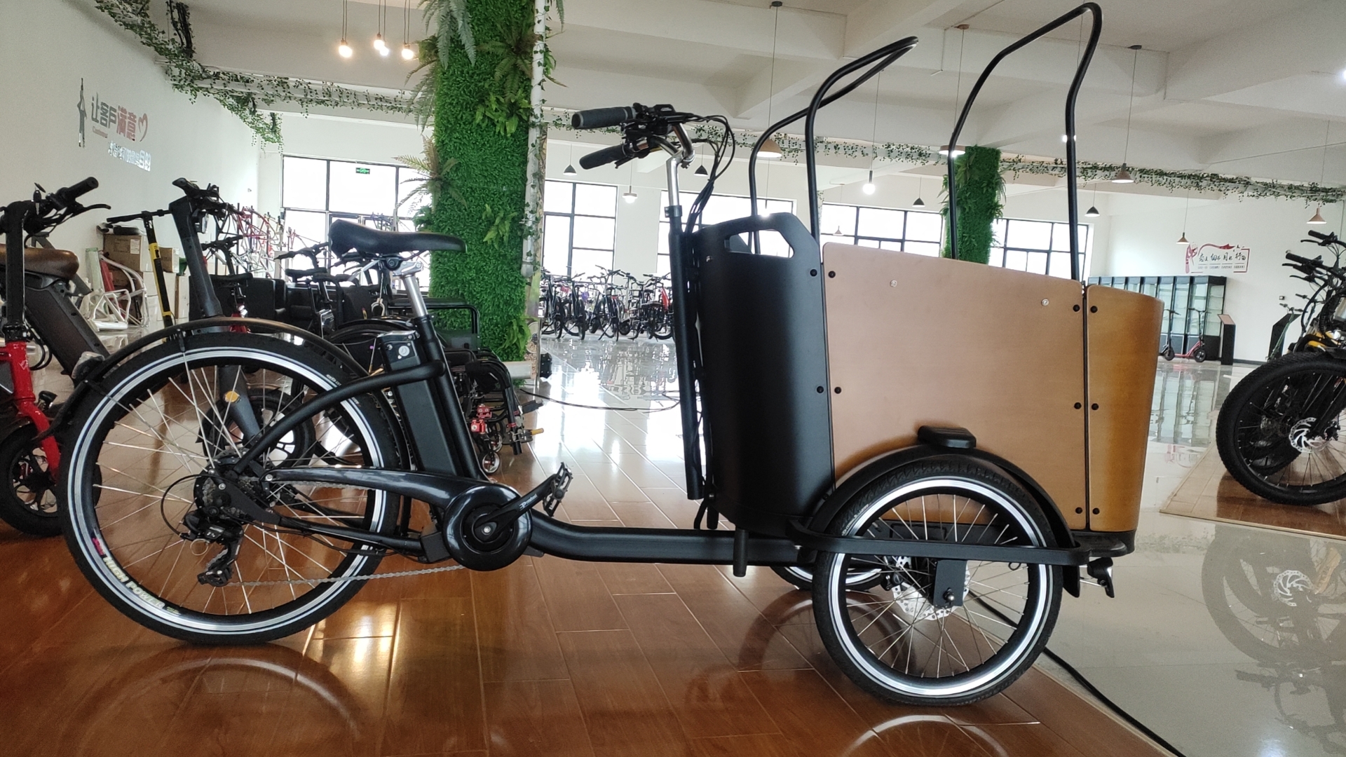 Electric Delivery Cargo Tricycle E-bike 3 Wheel Suspension Disc Brake Aluminum Fork