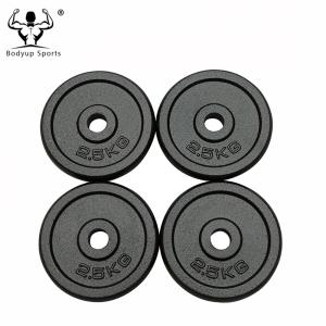 Quality Black Paint Reliable Cast Iron Weight Discs For 1 Inch Diameter Dumbbell wholesale