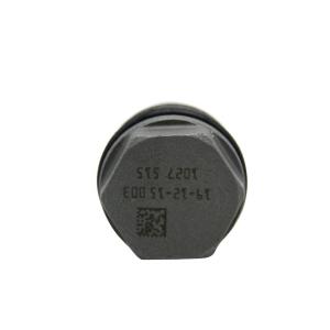 Quality Fuel Rail Pressure Limiter Diesel Injector Relief Valve 1110010027 wholesale