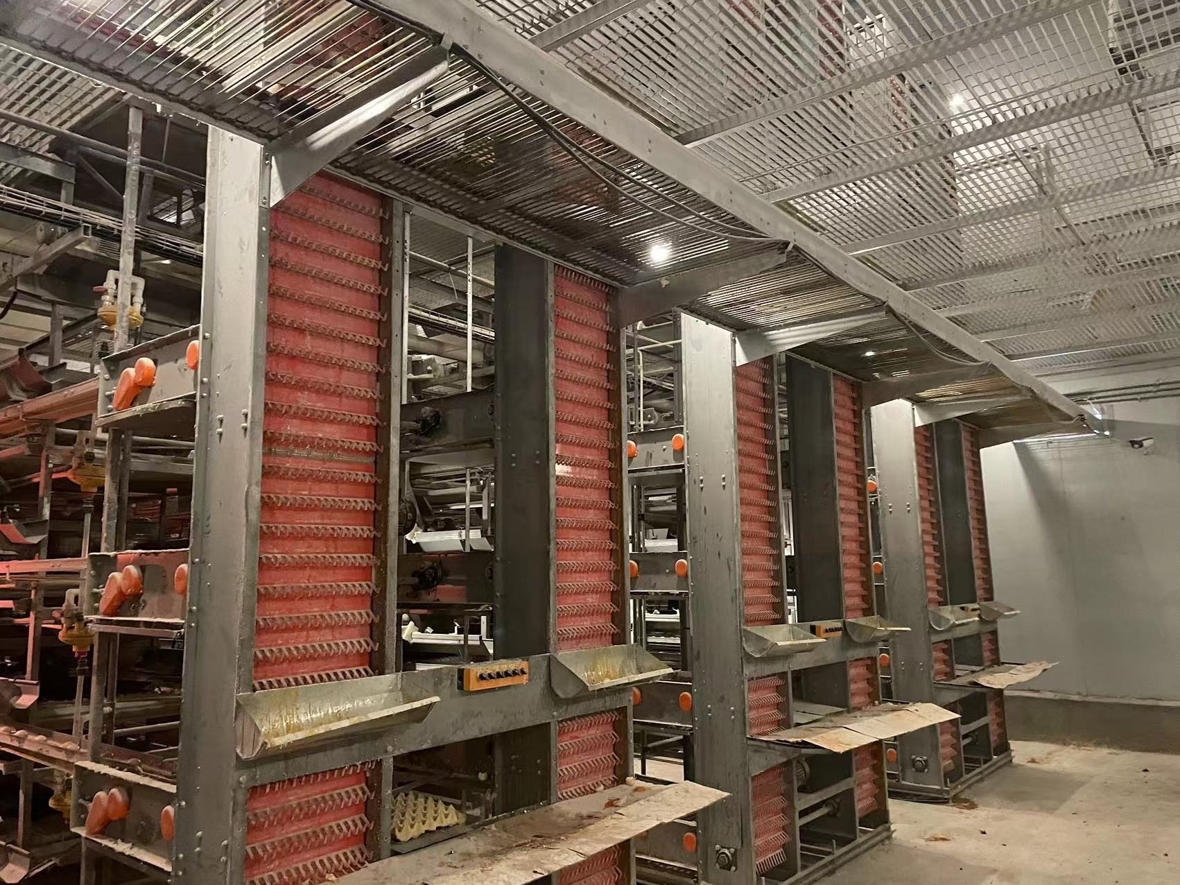 High Tech Poultry Cage System / Cage Holding Poultry Easy Daily Management