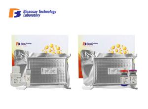 Quality HMG-1 Human ELISA Kit High Mobility Group Protein 17 ELISA Assay Kit wholesale