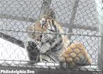 Zoo Flexible Stainless Steel Rope Mesh 304L 316 5mm