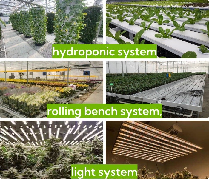 10 X 6 10 X 20 10 X 12 10' X 10 Clear Polycarbonate Greenhouse Wave Sheet Yellow Film Growing Lettuce Leaf Vegetable