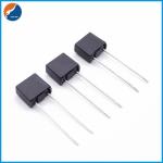 250V Miniature Cartridge Fuse