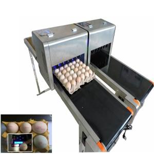 Quality Barcode Egg Printer / Continuous Tray Egg Food Inkjet Printer Chinese Made wholesale