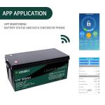 Golf Cart 12V Lithium Battery Pack Lifepo4 Battery 300ah For Cold Weather