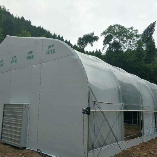 Customized Heating Equipment Blackout Film Greenhouse for Herb and Mushroom