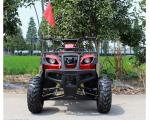 CVT Transmission Youth Racing Atv Air Cooled CDI Ignition