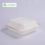 8in White Sugarcane Bagasse Clamshell 3 Compartments Sugarcane Bagasse Food