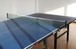 Various Models Outdoor Sports Netting , Portable Table Tennis Roll Net
