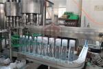 Double Head Liquid Bottle Filling Machine Rotary Volumetric Bottle