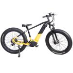 Electric Mountain Bike High Power 1000W Bafang Dual Motor and Rear Drive Speed