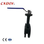 PPL Seat Flanged End Ball Valve Lever Operation With Extended Stem