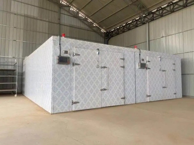 Industrial Food Wood Dryer Machine Heat Pump Pepper Fruit Chrysanthemum Drying