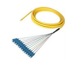 SC/UPC  SM 12Core  Pigtail