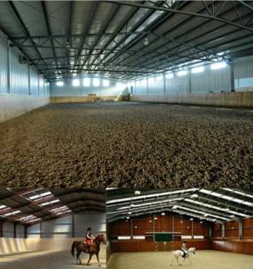 Quality Customizable Steel Framed Agricultural Buildings Horse Shed Anti Seismic wholesale
