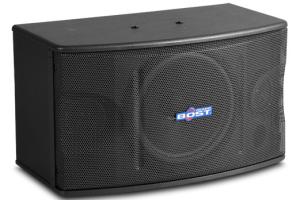 Quality 10 inch full range karaoke speaker OK-220 wholesale