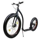 Fat Wheel Electric Adult Kick Bike 26"X4.0 Tiger Steel