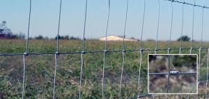 Quality KEYSTONE STEEL &amp; WIRE Monarch Deacero Steel field fence panels 3 ft. H x 50 ft. L wholesale
