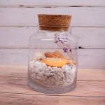 Tapered Mason Glass Bottle Cork Stopper Airtightness Drysaltery