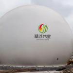 Biogas Storage Tank Price Biogas Storage Tank Design