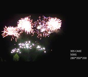 Quality Fan Shaped 30 Shots Cakes Fireworks 500G 25*30*200mm For Celebration wholesale