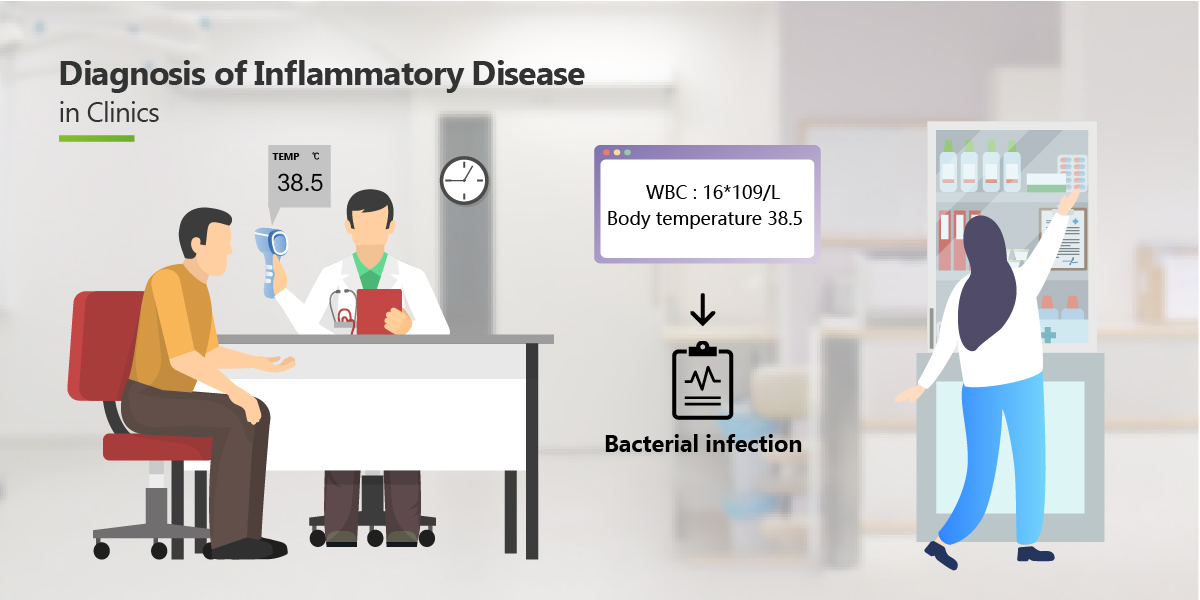 WBC diff automatic diluent blood hematology analyzer for hospital use